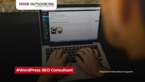 WORDPRESS SEO CONSULTANT