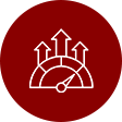 Step Optimize