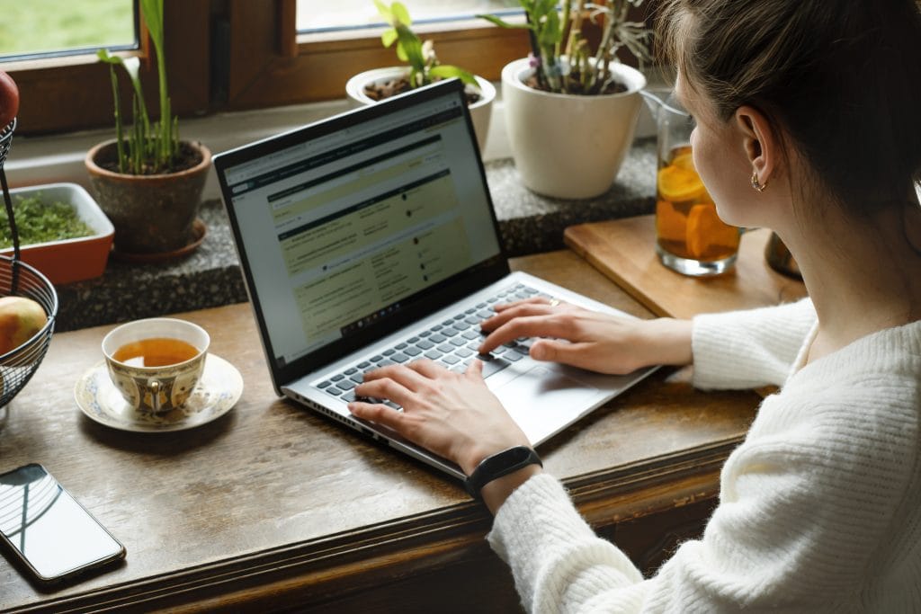 Woman Working With Laptop By Window At Home